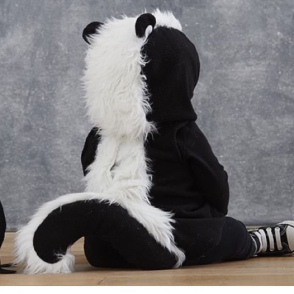 Pottery Barn Baby Skunk Costume